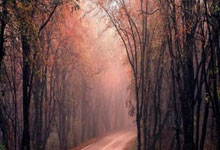 盘点天涯神贴排行榜上的那些让人意想不到的故事！你还记得那些藏在天涯论坛角落里笑到肚子痛的帖子吗？让我们一起来回顾一下天涯神贴排行榜上的那些神贴吧！