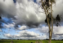 盘点天涯神贴排行榜上的那些让人意想不到的故事！你还记得那些藏在天涯论坛角落里笑到肚子痛的帖子吗？让我们一起来回顾一下天涯神贴排行榜上的那些神贴吧！
